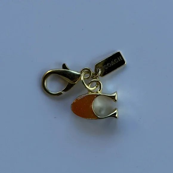 Coach Keychain - Picture 1 of 2